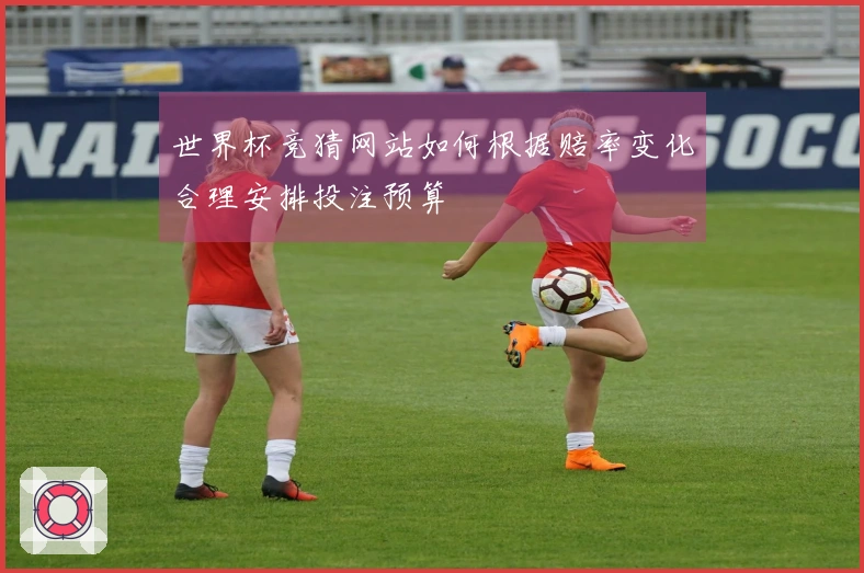 世界杯竞猜网站如何根据赔率变化合理安排投注预算