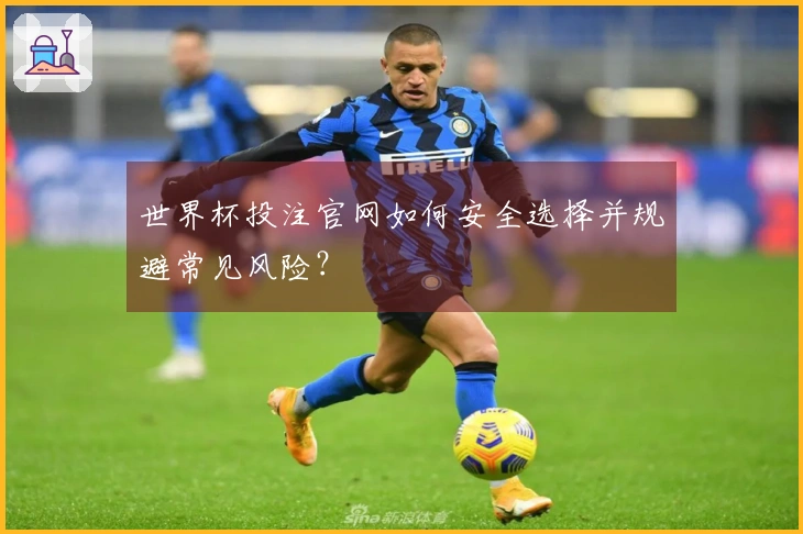 世界杯投注官网如何安全选择并规避常见风险？